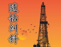 钻井旋转纠斜技术