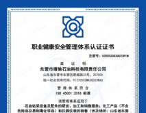 OHSMS中文版
